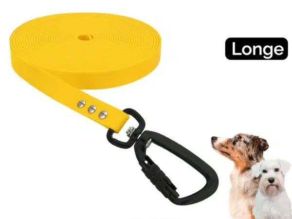 Longe pour chien avec mousqueton sécurité
