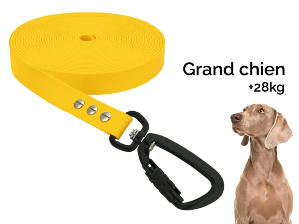 Longe 5/10/15m pour grand chien (+ de 28kg)