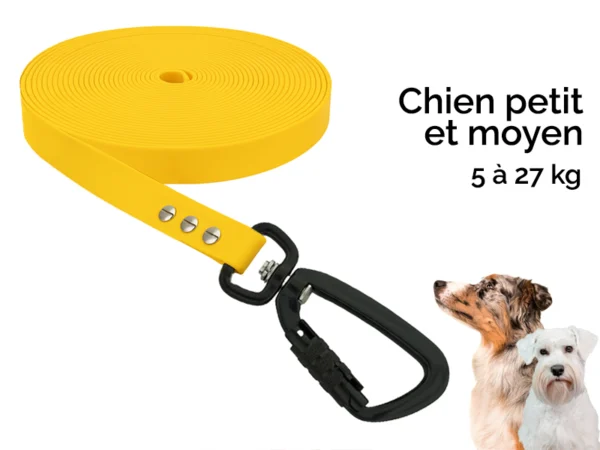 Longe 5/10/15m pour chien petit et moyen (5-27kg)