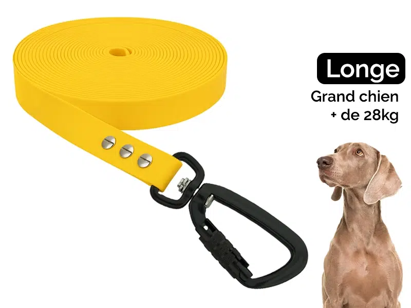 Longe 5/10/15m pour grand chien (+ de 28kg)