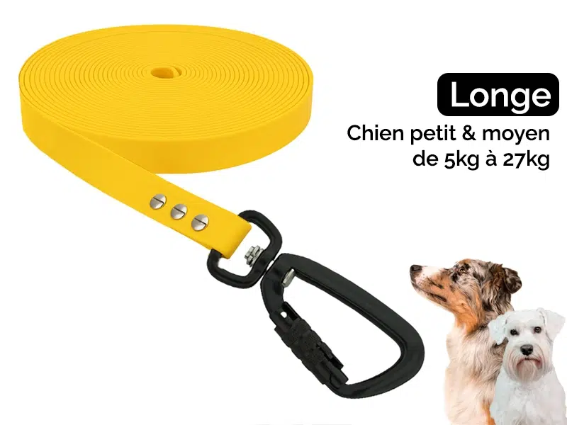 Longe 5/10/15m pour chien petit et moyen (5-27kg)