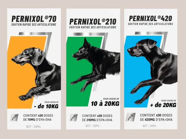 Pernixol - Complément alimentaire arthrose