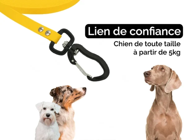 Lien de confiance 1/3m pour chien de toute taille (5kg minimum)