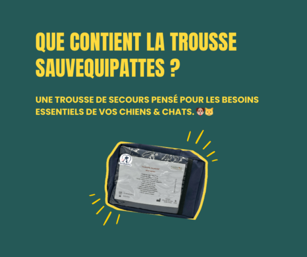 Trousse de 1er secours Canin & Félin