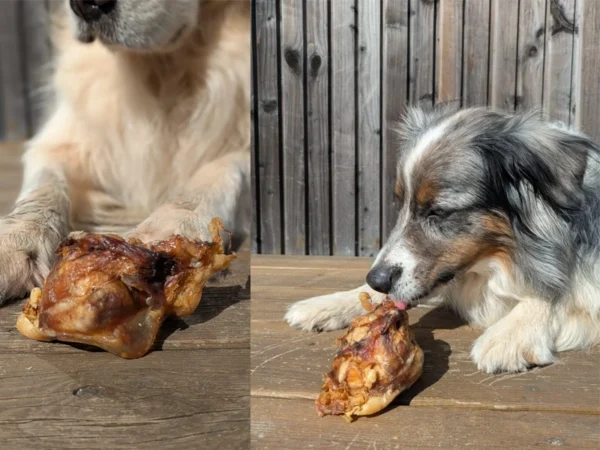 Mastication - Rotule de Boeuf (100g)